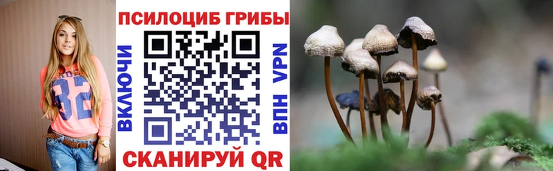 где найти   Суровикино  Галлюциногенные грибы мицелий 